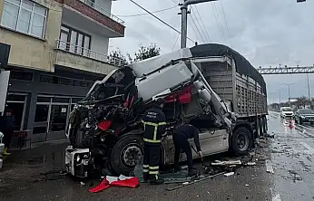 Tır Kazasında Can Pazarı