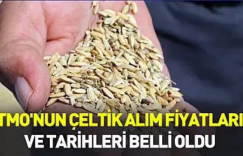 TMO'nun çeltik alım fiyatları ve tarihleri belli oldu