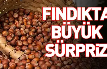 Türkiye'nin Fındık İhracatında İlk 3 Ay Verileri Açıklandı