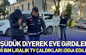 Üşüdük Diyerek Eve Girdiler, 50 Bin Liralık TV Çaldıkları İddia Edildi