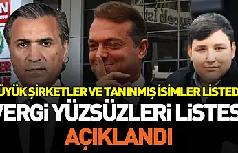 Vergi Yüzsüzleri Listesi Açıklandı: Tanınmış İsimler ve Şirketler Aynı Listede