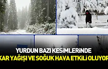 Yurdun bazı kesimlerinde kar yağışı ve soğuk hava etkili oluyor