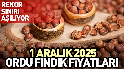 1 Aralık 2025 Ordu Fındık Fiyatları