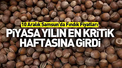 10 Aralık Samsun'da Fındık Fiyatları | Piyasa Yılın En Kritik Haftasına Girdi