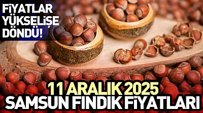11 Aralık Samsun Fındık Fiyatları