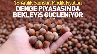 18 Aralık Samsun Fındık Fiyatları | Denge Piyasasında Bekleyiş Güçleniyor