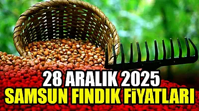 28 Aralık Samsun Fındık Fiyatları