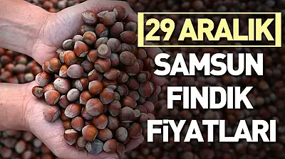 29 Aralık Samsun Fındık Fiyatları | Satış Azaldı, Beklenti Yükseldi