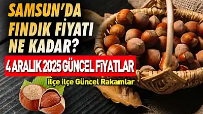4 Aralık 2025 Samsun Fındık Fiyatları ne kadar? Piyasa Rekabeti Sertleşti