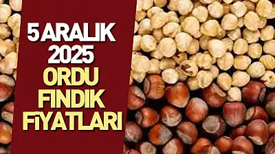 5 Aralık 2025 Ordu Fındık Fiyatları ne kadar? 340 TL Beklentisi Güçlendi