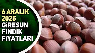 6 Aralık 2025 Giresun Fındık Fiyatları? Avrupa Baskısı Zirvede!