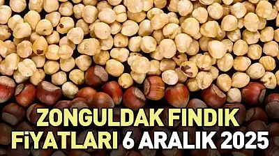 6 Aralık 2025 Zonguldak Fındık Fiyatları | Piyasa Dengeli: 319 TL Gündemde