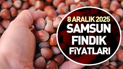 8 Aralık 2025 Samsun Fındık Fiyatları | Pazartesi Günü Piyasada Yön Arayışı Başladı