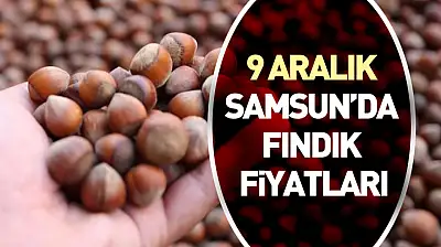 9 Aralık Samsun'da Fındık Fiyatları | Piyasa Salı Günü Yeniden Canlandı