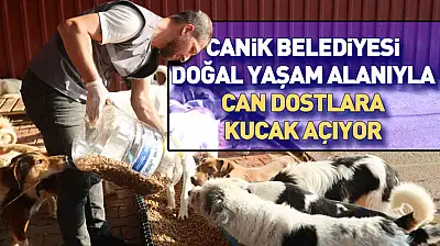 Canik Belediyesi doğal yaşam alanıyla can dostlara kucak açıyor