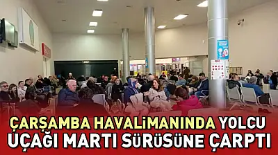 Çarşamba Havalimanında yolcu uçağı martı sürüsüne çarptı