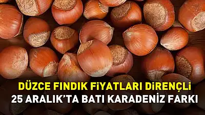 Düzce Fındık Fiyatları Dirençli | 25 Aralık'ta Batı Karadeniz Farkı