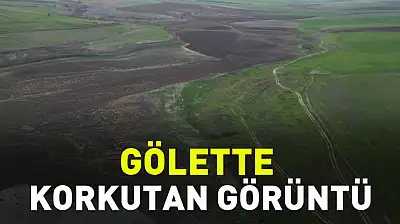 Gölette Korkutan Görüntü