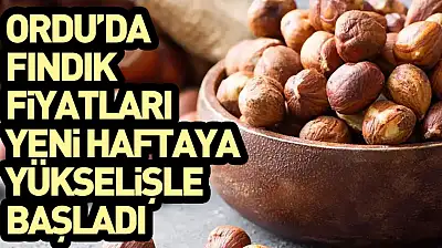 Ordu'da Fındık Fiyatları Yeni Haftaya Yükselişle Başladı