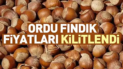 Ordu Fındık Fiyatları Kilitlendi | 27 Aralık'ta Tombul Fındıkta Sert Duvar