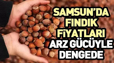 Samsun'da Fındık Fiyatları Arz Gücüyle Dengede