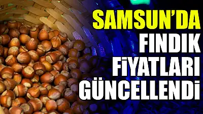 Samsun'da Fındık Fiyatları Güncellendi