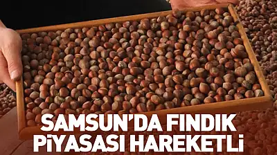 25 Ocak Samsun'da Fındık Fiyatları: Samsun'da Fındık Piyasası Hareketli