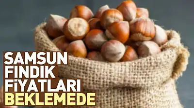 Samsun Fındık Fiyatları Beklemede | 27 Aralık'ta Satış Freni Sürüyor