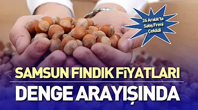 Samsun Fındık Fiyatları Denge Arayışında | 26 Aralık'ta Satış Freni Çekildi