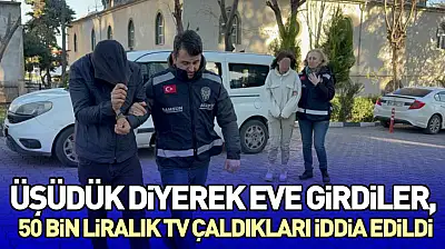 Üşüdük Diyerek Eve Girdiler, 50 Bin Liralık TV Çaldıkları İddia Edildi