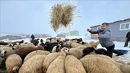 Kars'ta besicilerin zorlu kış mesaisi başladı