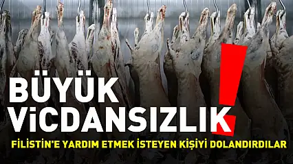 Filistin'e yardım için alınacak 600 ton et dolandırıcılıkla sonuçlandı