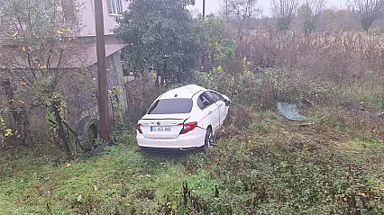 Kontrolden Çıkan Otomobil Bahçeye Devrildi