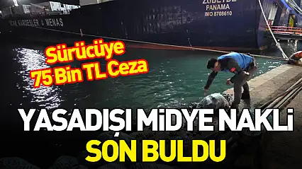 Samsun'da Kamyonette Kaçak Midye Operasyonu: 300 Kilo Ele Geçirildi