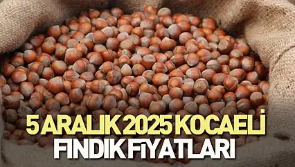 5 Aralık 2025 Kocaeli Fındık Fiyatları? 321 TL Bandı Göründü