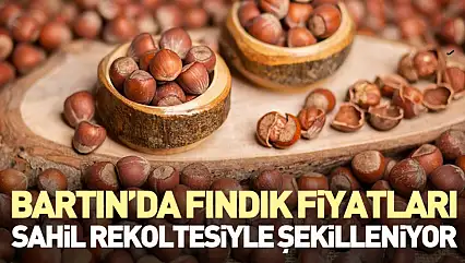 Bartın'da Fındık Fiyatları Sahil Rekoltesiyle Şekilleniyor