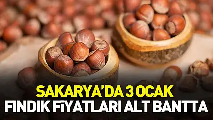 Sakarya'da 3 Ocak Fındık Fiyatları Alt Bantta