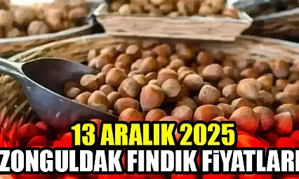 13 Aralık Zonguldak Fındık Fiyatları