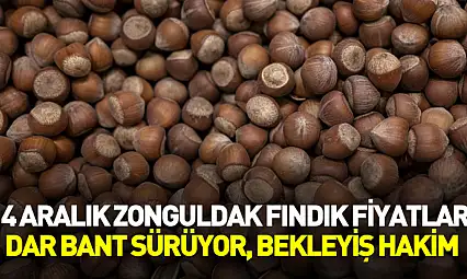 14 Aralık Zonguldak Fındık Fiyatları | Dar Bant Sürüyor, Bekleyiş Hakim