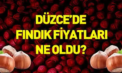 17 Aralık Düzce Fındık Fiyatları