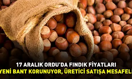 17 Aralık Ordu'da Fındık Fiyatları | Yeni Bant Korunuyor, Üretici Satışa Mesafeli