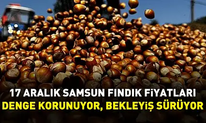 17 Aralık Samsun Fındık Fiyatları | Denge Korunuyor, Bekleyiş Sürüyor