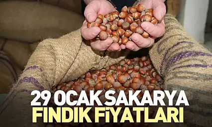 29 Ocak Sakarya Fındık Fiyatları | İlçe İlçe Güncel Liste ve Yıllık Değişim