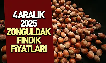 4 Aralık 2025 Zonguldak Fındık Fiyatları? Piyasa İstikrarı Koruyor!