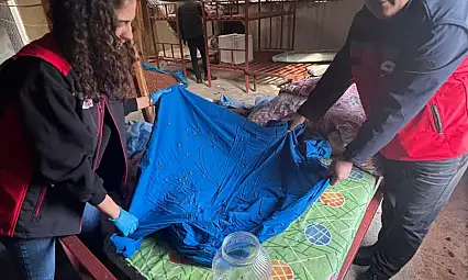 Fındık Üreticisine Doğal Kalkan: Samuray Arısı Devrede