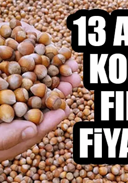 13 Aralık Kocaeli Fındık Fiyatları