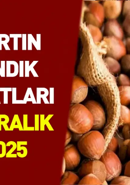 14 Aralık Bartın Fındık Fiyatları | Sessiz Piyasa Gücünü Koruyor