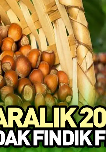 5 Aralık 2025 Zonguldak Fındık Fiyatları