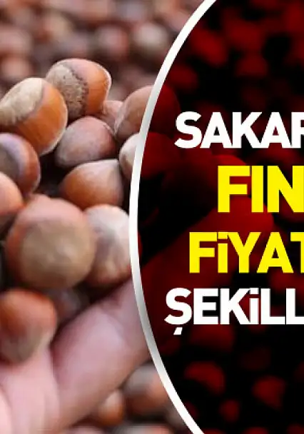 Sakarya'da Fındık Fiyatları Sahil ve İç Kesimlere Göre Şekilleniyor