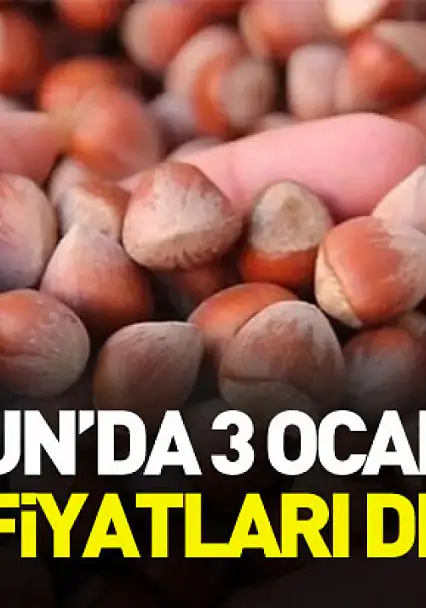 Samsun'da 3 Ocak 2026 Fındık Fiyatları Dengede